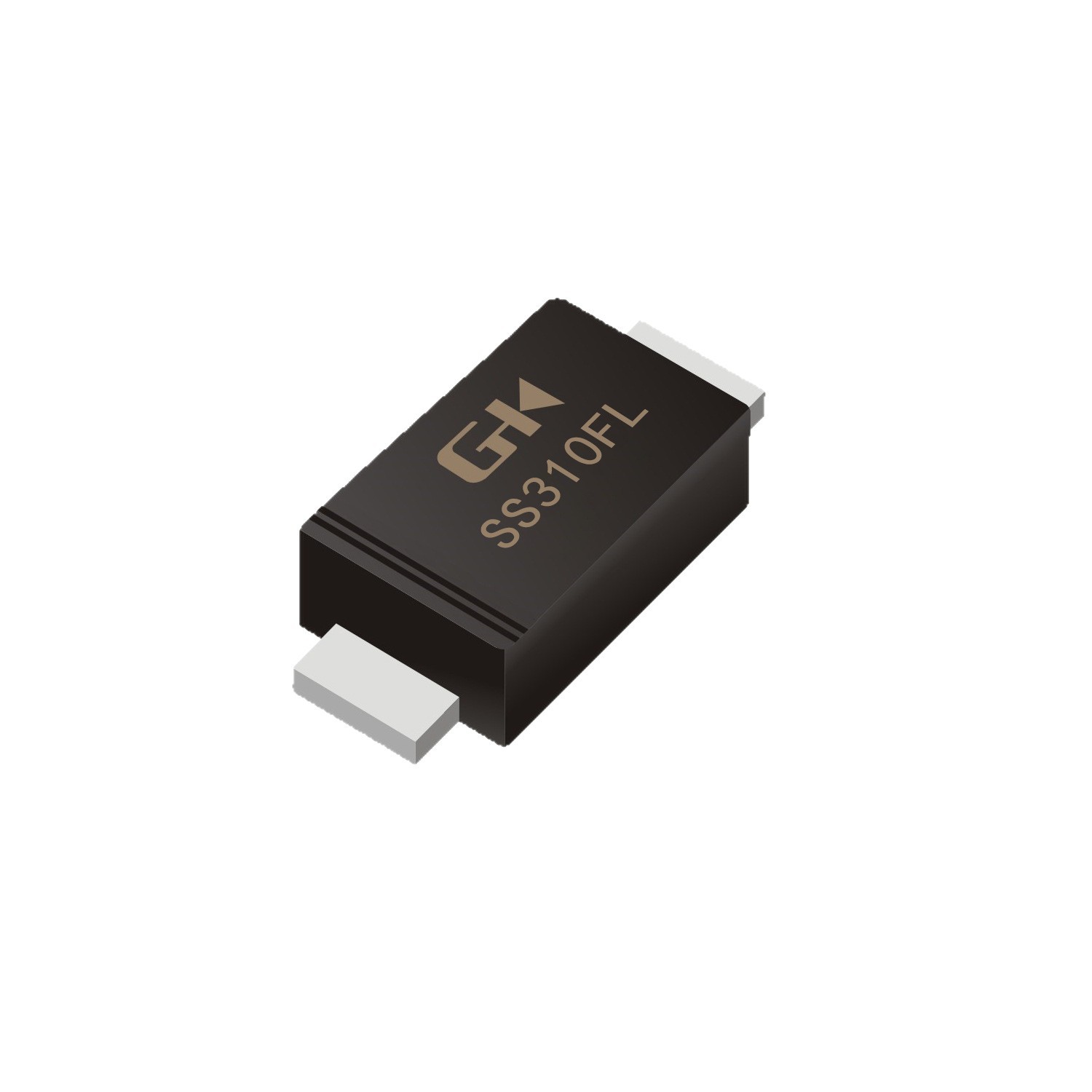 SS310FL SMAF 3A100V 
